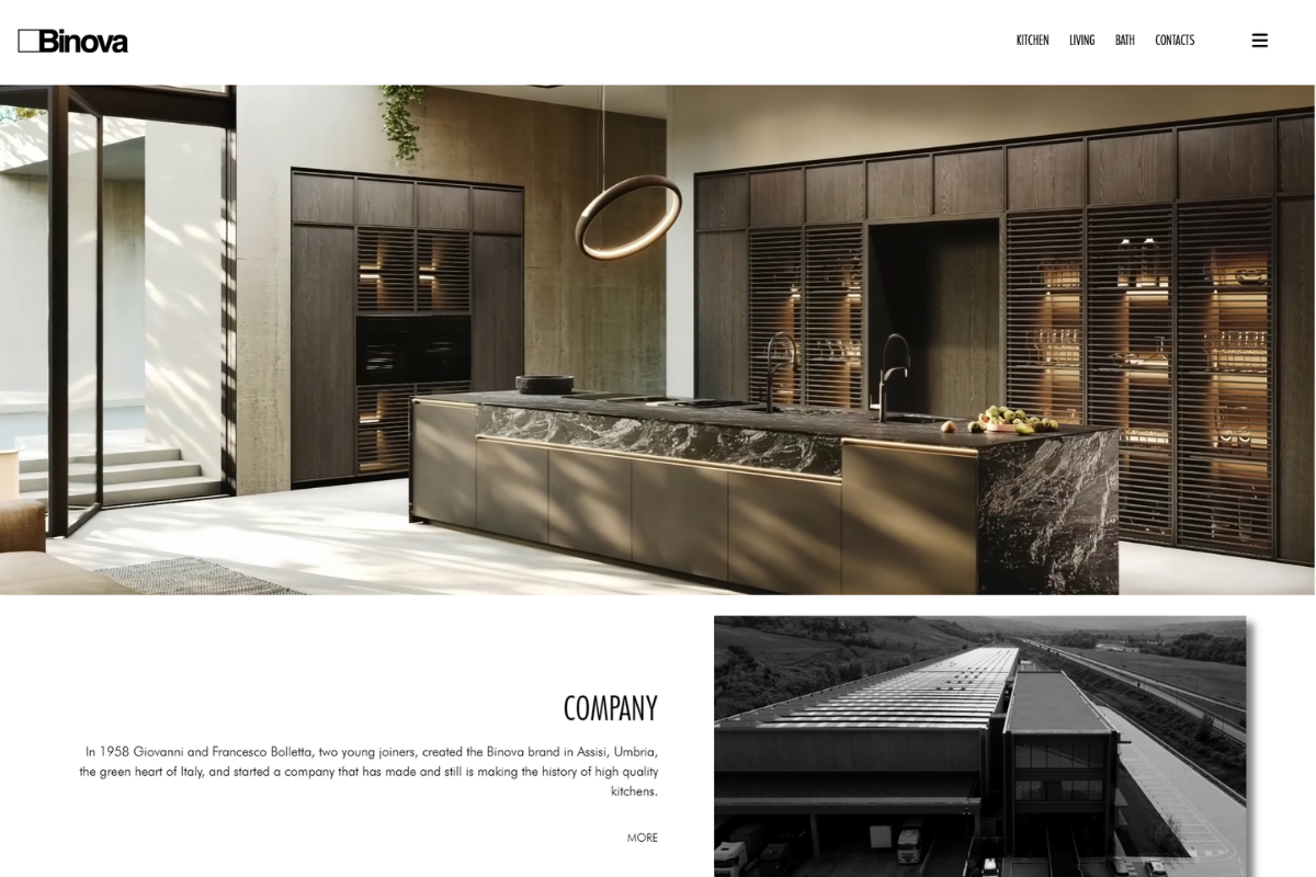 Binova website preview